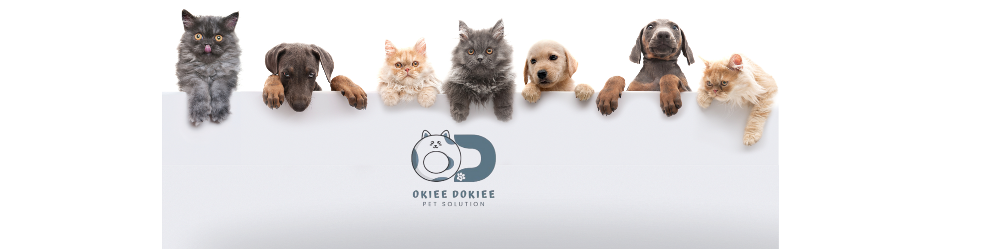 Chapter One: The Birth of Okiee Dokiee